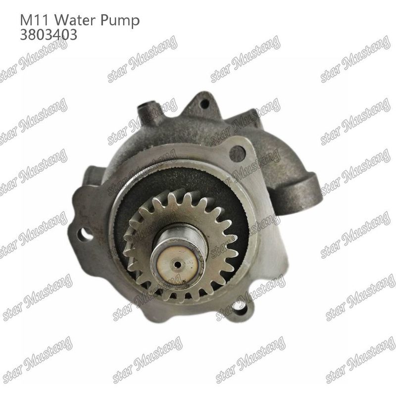 水ポンプ M11 4955706 4926553 短軸 カミングズ用ディーゼルエンジン修理部品