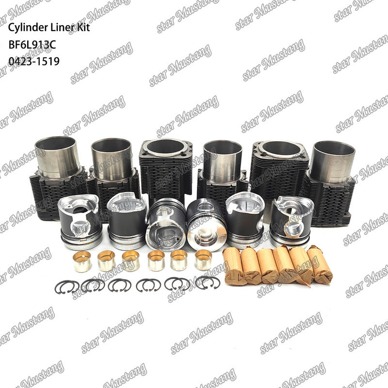 新しい状態のディーゼルエンジンのタイプラインナーキット BF6L913C 0423-1519
