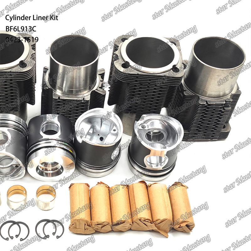 新しい状態のディーゼルエンジンのタイプラインナーキット BF6L913C 0423-1519