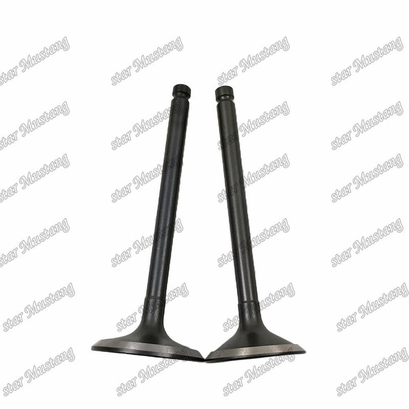 バルブ 3KR1 8941190881 8-94119088-1 5125520462 5-12552046-2 Isuzu エンジン用スペアパーツ