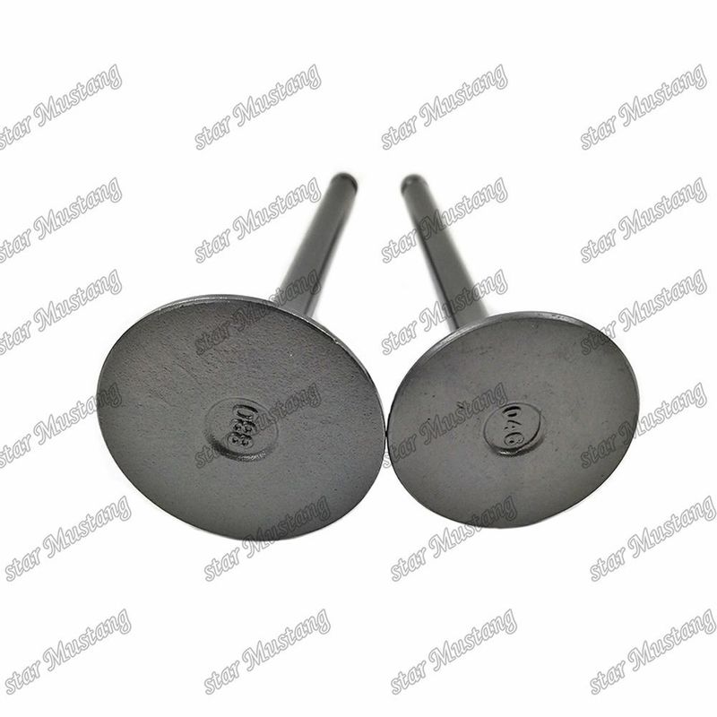バルブ 3KR1 8941190881 8-94119088-1 5125520462 5-12552046-2 Isuzu エンジン用スペアパーツ