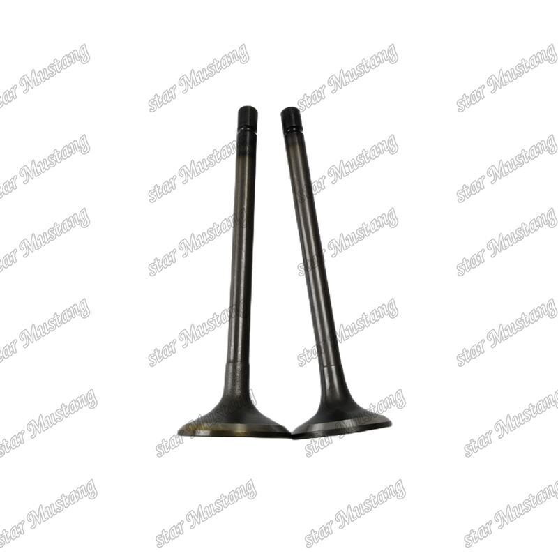 4JJ1 Diesel Engine Valve 8-97309-675-1 8-97309-677-1 for Industrial Applications